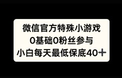 微信官方特定小游戏，0基础0粉丝，小白上手每天最少保底40+