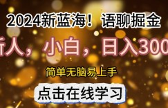 2024语聊自刷掘金新蓝海日入3张