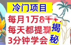 冷门项目，这个方法一定要学会，内部教程，每月1w(揭秘)