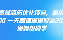 AI高端简历优化项目，单价30-100 一天随便做做收益200+ 保姆级教学