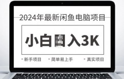 2024最新闲鱼电脑项目，动手就能吃肉的好项目