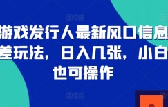 游戏发行人最新风口信息差玩法，日入几张，小白也可操作