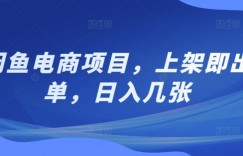 闲鱼电商项目，上架即出单，日入几张