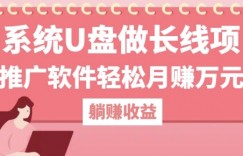 用系统U盘做长线项目，推广软件轻松月入过W