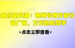 2024娱乐新风潮：视频号创作者分成+抖音广告，万元轻松到手