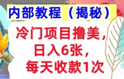 冷门项目撸美金，日入几张，每天收款1次，内部方法，首次公开!