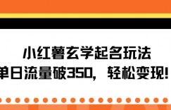 小红薯玄学起名玩法，单日流量破350+，轻松变现