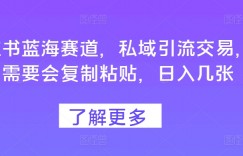 小红书蓝海赛道，私域引流交易，只需要会复制粘贴，日入几张