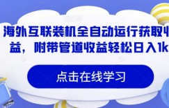 海外互联装机全自动运行获取收益，附带管道收益轻松日入1k