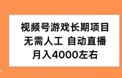 视频号游戏长期项目，无需人工，自动直播，月入4000左右