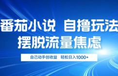 小说推文自撸玩法，摆脱流量焦虑，自己动手创收益，轻松日入几张