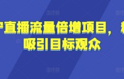 苏宁直播流量倍增项目，精准吸引目标观众