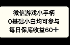 微信游戏小手柄，0基础小白均可参与，每日保底收益60+