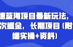 高德蓝海项目最新玩法，无限次掘金，长期项目(附详细实操+资料)