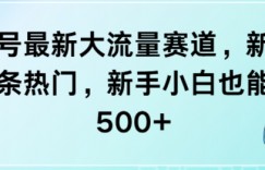 视频号最新大流量赛道，新号也能条条热门，新手小白也能日入5张