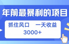 年前最暴利的项目之一，抓住风口，一天收益上k，可以过个肥年