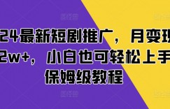 2024最新短剧推广，月变现3K-2w+，小白也可轻松上手，保姆级教程