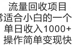 流量回收项目，非常适合小白的一个项目单日收入多张，操作简单变现快