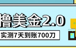 海外撸美金2.0，油管分享视频撸美金，5刀提现到账，一周到账2百刀