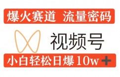 0粉在视频号爆火赛道流量密码，模式全方位，小白轻松日爆10w+流量