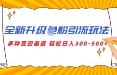 全新升级S粉引流玩法 多种变现渠道 轻松日入多张