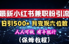 揭秘：小红书素人爆粉，保密教材，日引500+粉丝