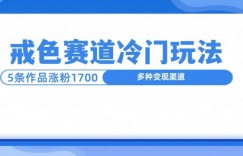 新号5条作品涨粉1600+，戒色赛道冷门玩法，教程送你