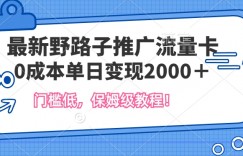 最新野路子推广流量卡，一张200-300，门槛低，0成本单日变现多张