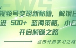 视频号变现新秘籍，解锁日进 5张 蓝海策略，小白开启躺Z之路