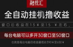 全网独家，全自动观影看广告撸收益项目