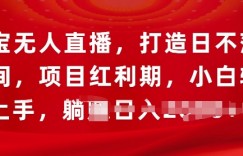 淘宝无人直播，打造日不落直播间，项目红利期，小白轻松上手