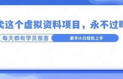 卖这个虚拟资料，真的永不过时，坚持做下去，一定有结果