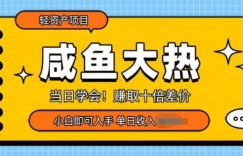 咸鱼大热轻资产类项目，当日学会，赚取十倍差价，小白即可入手