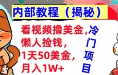 看视频撸美金，懒人捡钱，1天50美金，全自动收入，内部教程，首次公开