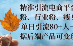 小投资撬动大收益，精准引流创业粉、行业粉，单日引流80+，一天可变现多张