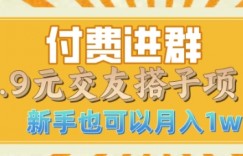 付费进群9.9交友搭子项目，熟练可矩阵操作，月收益过W