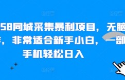 揭秘58同城采集暴利项目，无脑操作，非常适合新手小白，一部手机轻松日入