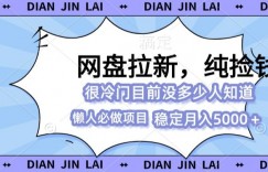 2024最强网盘拉新玩法，0基础可做，单月收入5000+