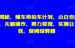 独家揭秘，懂车帝拍车计划，小白也能变大神，无脑操作，暴力变现，实测日入几张，保姆级教程