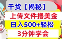 上传文件撸美金，新项目0门槛，3分钟学会，日入几张，真正被动收入