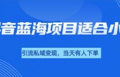 抖音蓝海小赛道私域变现项目，单价9.9单天变现100+，实操玩法分享给你