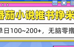 番茄小说推书挣米，单日100-200+，无脑零撸，实操流程