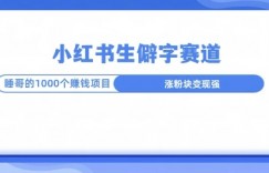 小红书生僻字玩法，快速涨分变现详解