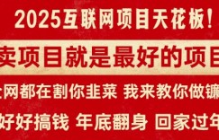 卖项目就是最好的项目，2025年互联网项目天花板