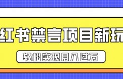 小红书禁言项目新玩法，推广新思路大大提升出单率，轻松实现月入过W