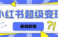 全网独家小红书保姆级陪跑项目实操日入多张