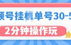 视频号无脑挂JI，单号30-50+，可批量放大