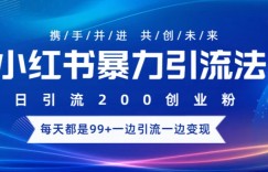 小红书暴力引流法，日引200精准创业粉，每天都是99+，边引流一边变现