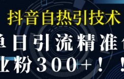 抖音自热引流，单日引流精准创业粉300+