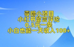 零撸小项目，小红书留言评论，0.5元一条，小白也能一天收入100+